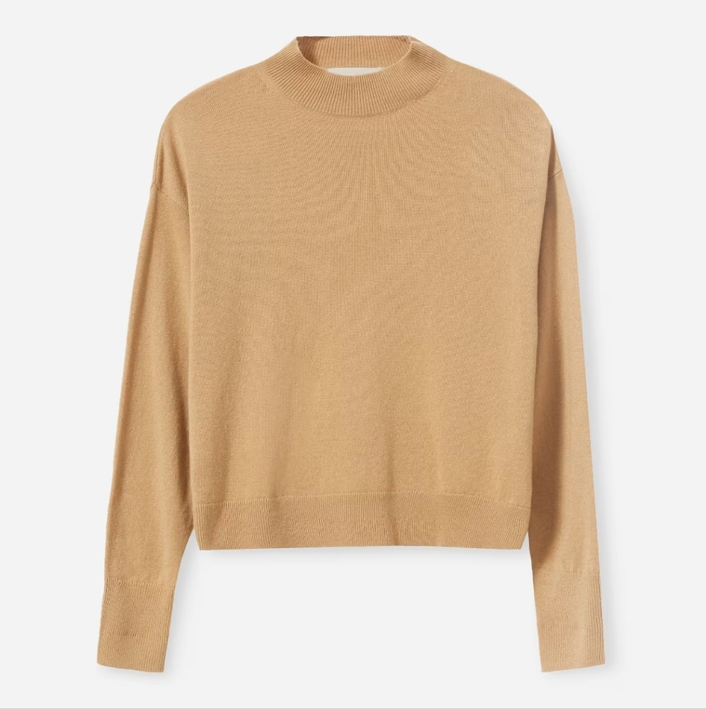 Everlane The Cashmere Crop Mockneck xxs but oversized
